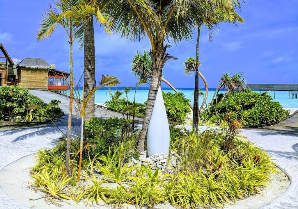Spa and Wellness: Rejuvenate Your Soul