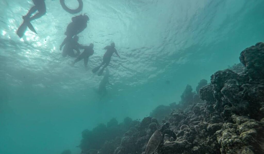 Snorkeling and Diving of Naifaru