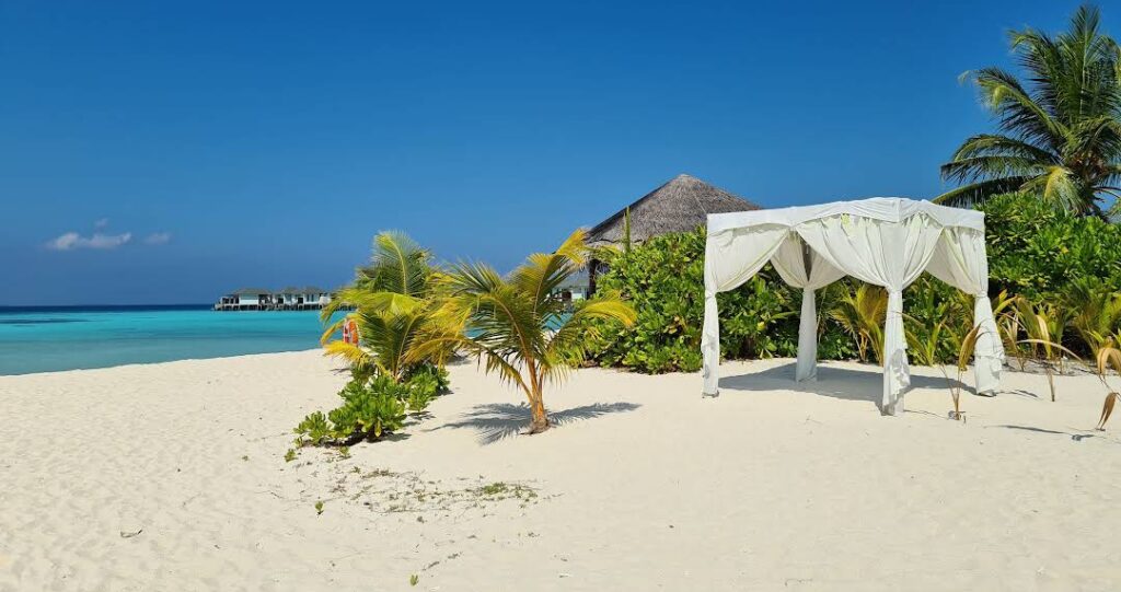 What did you enjoy most about your stay at Amari Havodda Maldives?