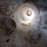 Conch Bar Caves Reviews, Hotel & Photos-2025
