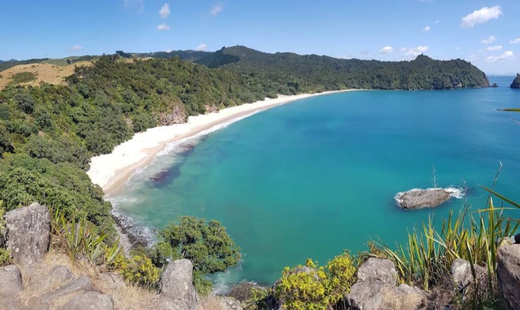 How to Get to New Chums Beach: A Step-by-Step Guide