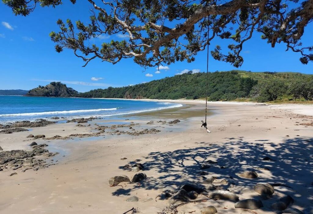 Local tips for visiting New Chums Beach
