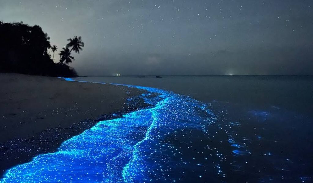 Maldives Glowing Beach The Most Visited Place In Maldives