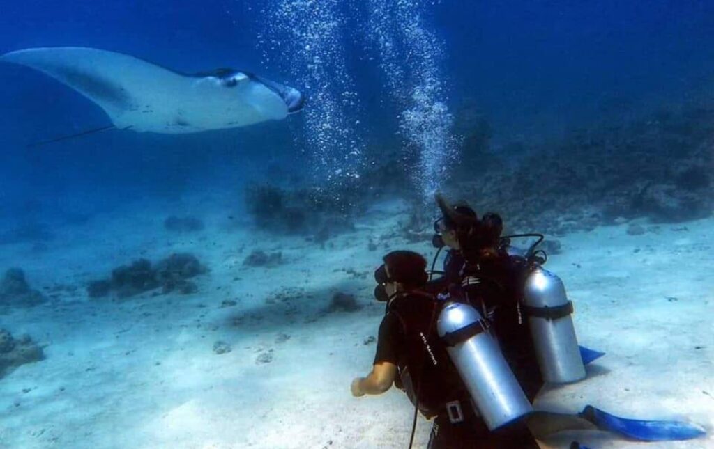 White Coral Rasdhoo, Maldives | Photos & Guide | 2025