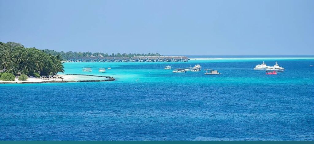 White Coral Rasdhoo, Maldives | Photos & Guide | 2025