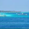 White Coral Rasdhoo, Maldives | Photos & Guide | 2025