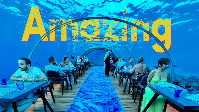 Ithaa Undersea
