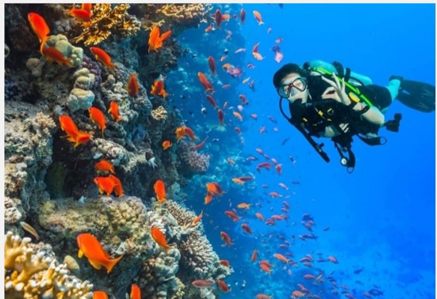 Which islands in Lakshadweep offer the best experiences for snorkeling and scuba diving?