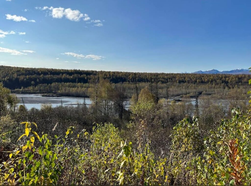 Best Place To See Northern Lights In Alaska Denali National Park