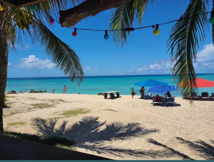 Arashi Beach: Shack