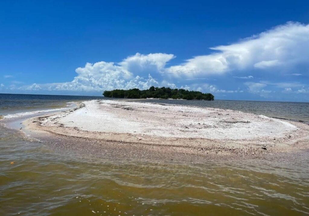 Ten Thousand Islands