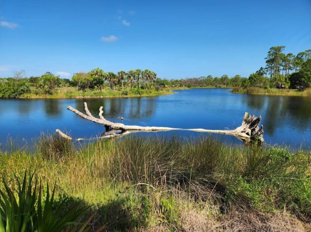 Naples Botanical Garden