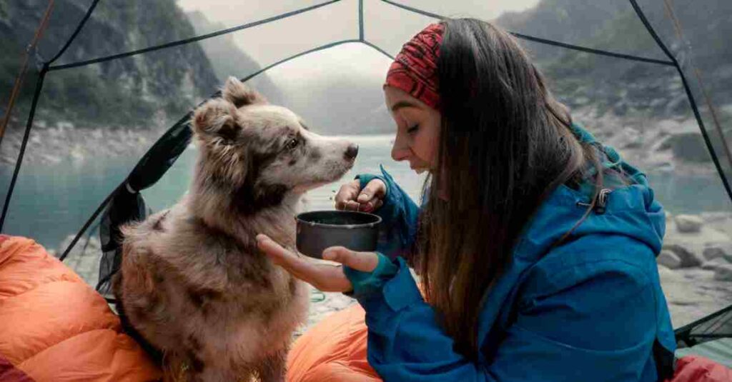 Pet Travel Mistakes and How to Avoid Them